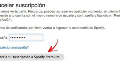 Photo of How to delete a spotify account fast and easy? Step by step guide