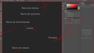 Photo of How to crop an image into a circular shape in Photoshop CC