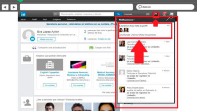 Photo of How to know who has haven your professional profile on linkedin? Step by step guide