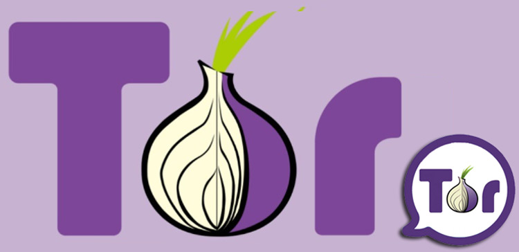 how does the tor browser work