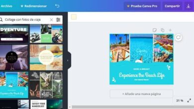 Photo of How to create a photo collage using Canva online for free