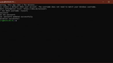 Photo of Open any windows 10 file from linux thanks to wsl