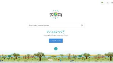 Photo of What is Ecosia and how does this ecological Internet browser work?