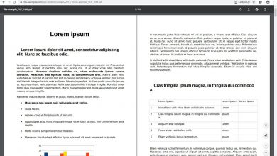 Photo of So you can view two pages of a pdf at the same time in chrome