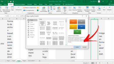 Photo of How to make family tree using microsoft excel? Step by step guide