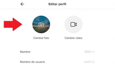 Photo of How can I change my Tik Tok profile picture – Quick and easy
