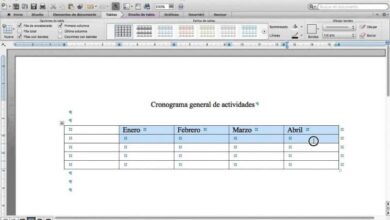 Photo of How to make or create an activity schedule in Word step by step