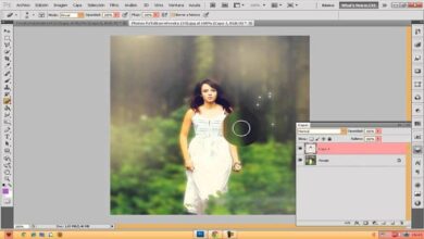 Photo of How to use the Gaussian blur filter to blur in Photoshop