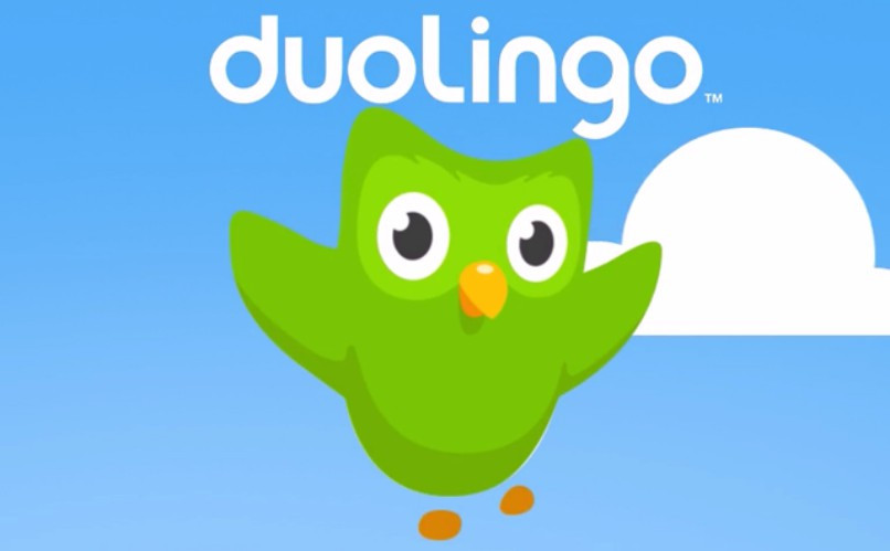 duolingo logo with owl blue background