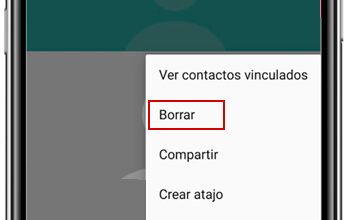 Photo of How to see my whatsapp contact list quickly and easily? Step by step guide