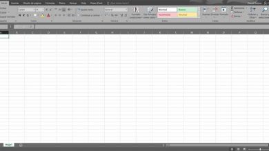 Photo of Word vs excel: learn which of the two programs you should use