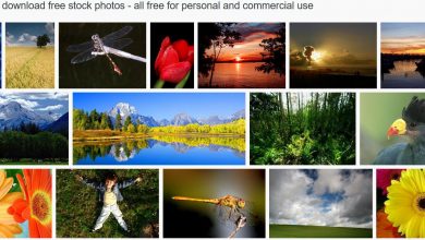 Photo of Explore these free image banks to find free-to-use hd photos