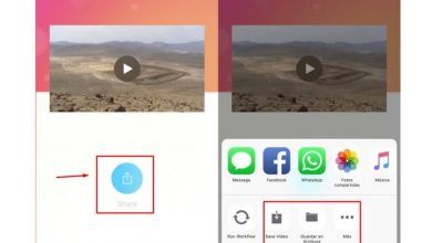 Photo of How to Save and Download Instagram Photos, Stories, and Videos to My iPhone