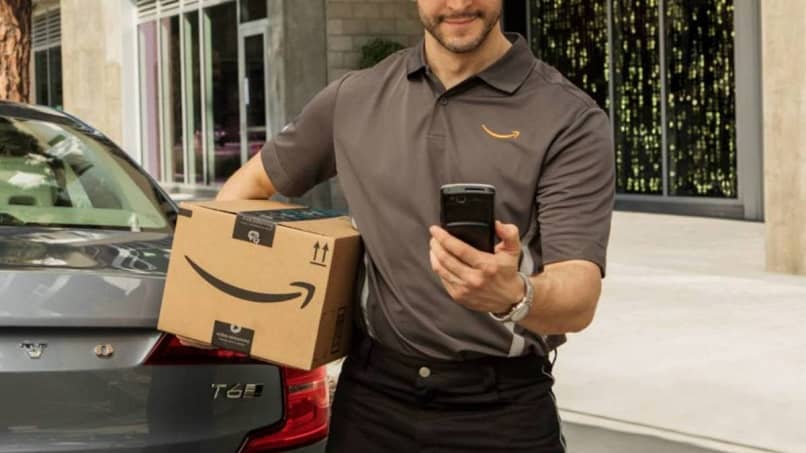 Amazon delivery person consults on mobile package delivery