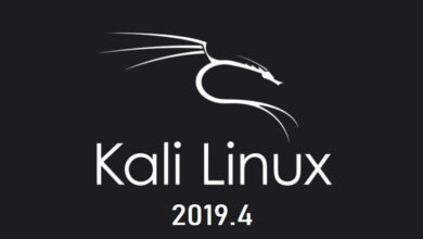 Photo of How to update kali linux to the latest version available easy and fast? Step-by-step guide
