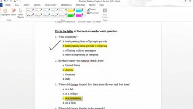 Photo of How to write with ink in a Word document