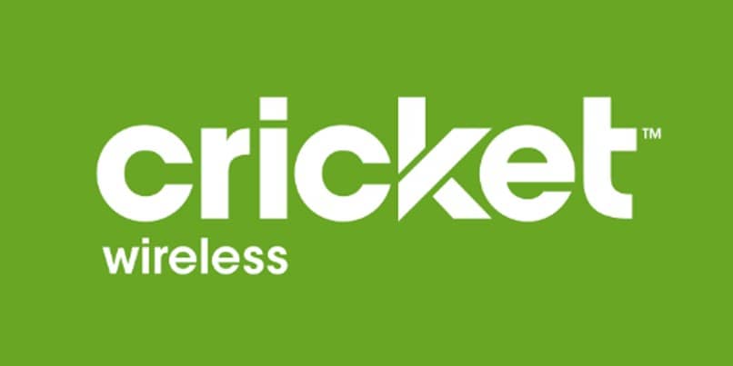 green cricket logo