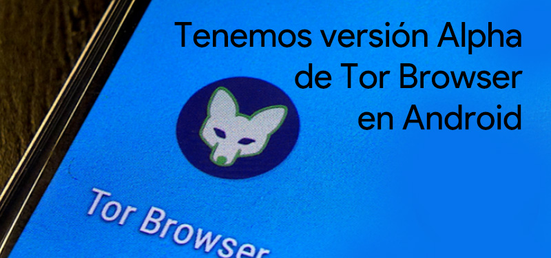 tor browser install not working