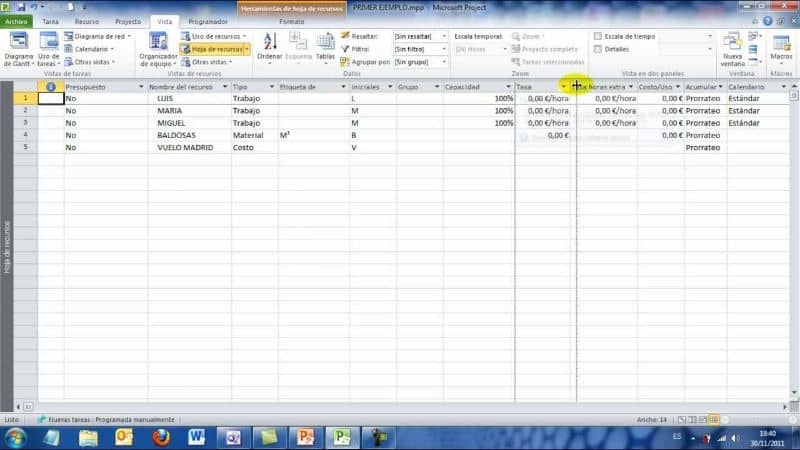 Microsoft Project screen and cells