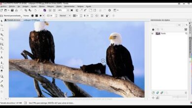 Photo of How to print an image or file in Corel Photo-Paint in simple steps