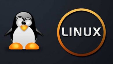 Photo of What are the differences between Unix and Linux and their characteristics?