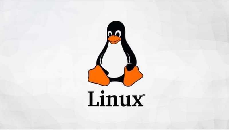 Linux logo, gray background