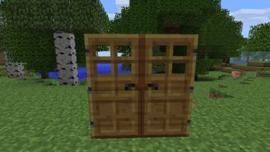 Photo of How to make or build a door in Minecraft