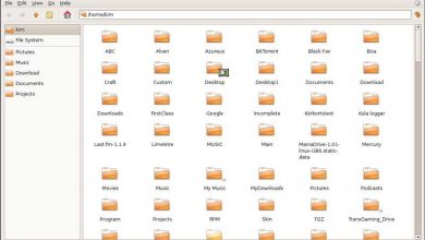 Photo of Looking for a file explorer? These are the best for Linux