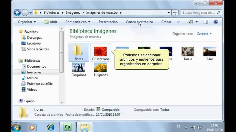 windows explorer you can organize all your files
