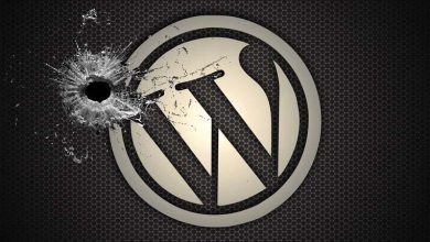 Photo of How to properly protect a WordPress site