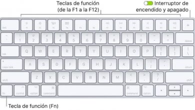 Photo of What are the functions of the F1 through F12 keys in Windows?