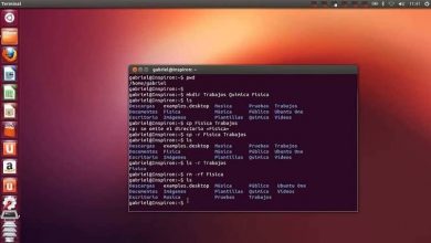 Photo of How to create directories and subdirectories in Linux with the ‘mkdir’ command