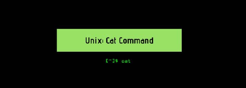 unix cat command box selection on green black background